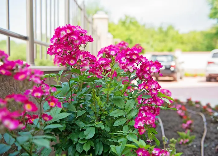 Hotel семеен адена 3*