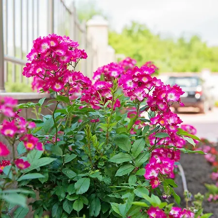 Szálloda семеен адена 3*